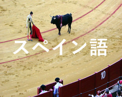 スペイン語個人レッスン講師一覧(英語や英会話も対応)