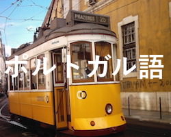 ポルトガル語個人レッスン講師一覧(英語や英会話も対応)