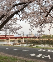 東大生の家庭教師