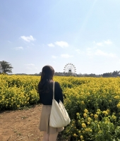 東大生の家庭教師