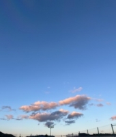 東大生の家庭教師