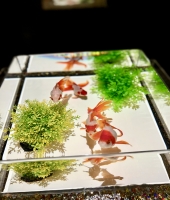 東大生の家庭教師