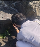 東大生の家庭教師