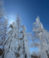 東大生の家庭教師