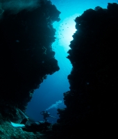 東大生の家庭教師