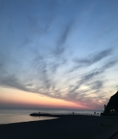 東大生の家庭教師