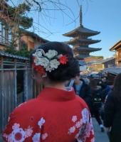 東大生の家庭教師