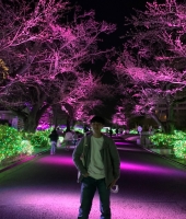 東大生の家庭教師