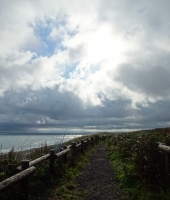 東大生の家庭教師