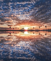 東大生の家庭教師