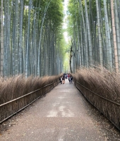 東大生の家庭教師