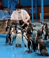 東大生の家庭教師