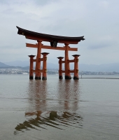 東大生の家庭教師