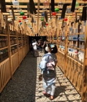 東大生の家庭教師