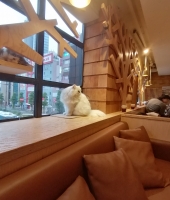 東大生の家庭教師