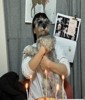 東大生の家庭教師