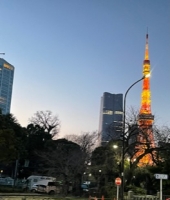東大生の家庭教師