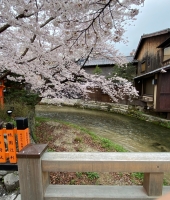 東大生の家庭教師