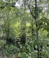 東大生の家庭教師