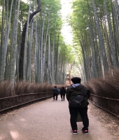 東大生の家庭教師
