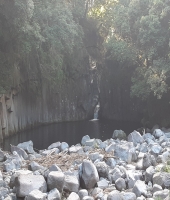 東大生の家庭教師