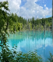 東大生の家庭教師