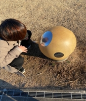 東大生の家庭教師