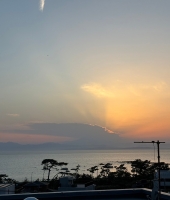 東大生の家庭教師