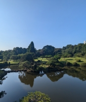 東大生の家庭教師