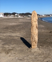 東大生の家庭教師