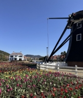 東大生の家庭教師