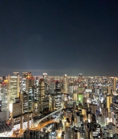 東大生の家庭教師