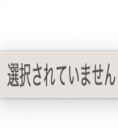 東大生の家庭教師