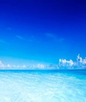 東大生の家庭教師