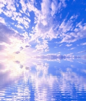 東大生の家庭教師