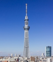東大生の家庭教師