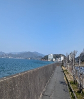 東大生の家庭教師