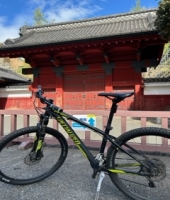 東大生の家庭教師