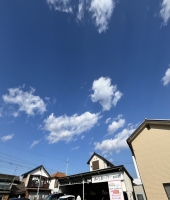 東大生の家庭教師