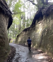 東大生の家庭教師