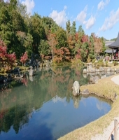 東大生の家庭教師