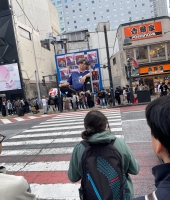 東大生の家庭教師