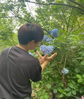 東大生の家庭教師