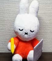 東大生の家庭教師