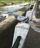 東大生の家庭教師