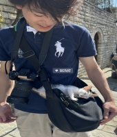 東大生の家庭教師