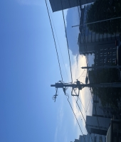 東大生の家庭教師