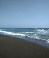 東大生の家庭教師