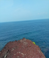 東大生の家庭教師