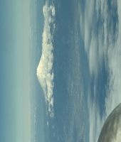 東大生の家庭教師